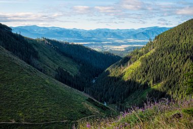 Low Tatras ve Liptov havzası Batı Tatras dağından, Slovak cumhuriyetinden. Mevsimsel doğal sahne. Seyahat hedefi.