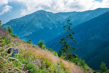 Otrhance dağ sırtı, Batı Tatras dağları, Slovak cumhuriyeti. Yürüyüş teması. Mevsimsel doğal sahne.