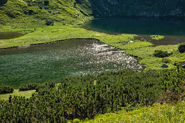 Rackowa Dolina Jeziorami Górskimi Tatry Zachodnie Republika Słowacka Temat Wędrówki — Zdjęcie stockowe