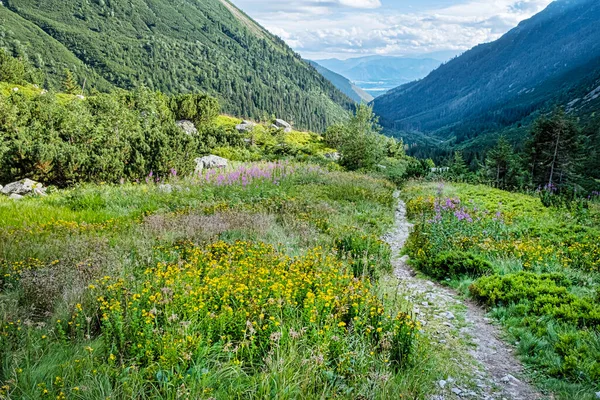 Rackova Valley Western Tatras Mountains Slovak Republic Hiking Theme — Stock Photo, Image