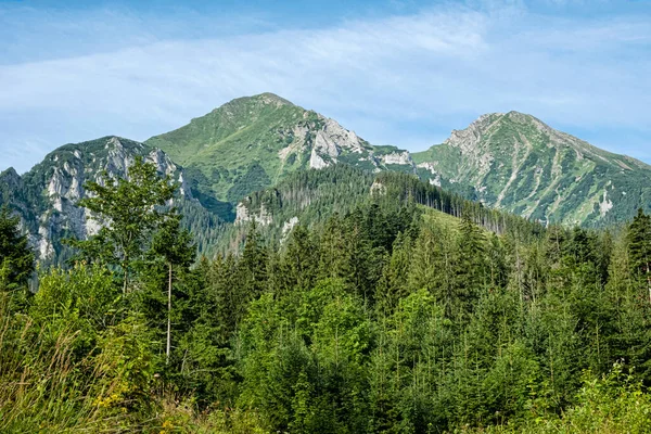 相信鞑靼山 斯洛伐克共和国 远足的主题 季节性的自然景观 — 图库照片