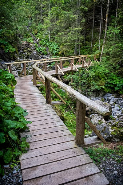 ベリアンケタトラ山脈 スロバキア共和国の針葉樹林と木製の橋 ハイキングのテーマ 四季折々の自然 — ストック写真