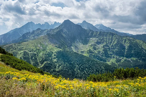 Jahnaci Peak Wide Saddle High Tatras Mountains Slovakia Republic Seasonal — Stock Photo, Image
