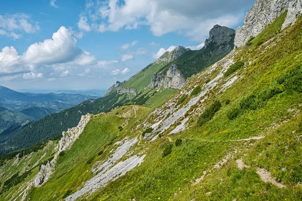 Vandring Belianske Tatras Berg Slovakien Säsongsmässig Naturlig Scen Resmål — Stockfoto