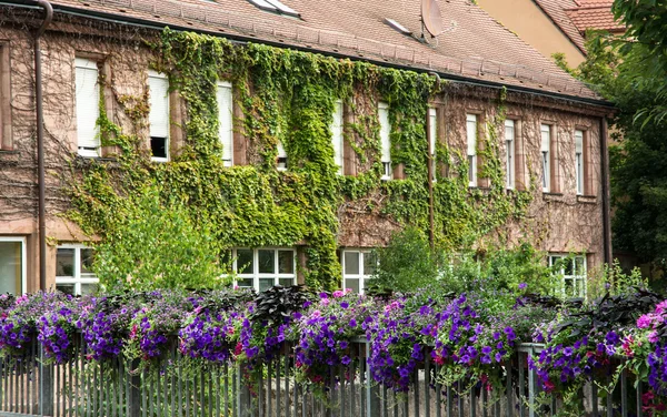 Schönes Haus in Bayern mit Efeu bewachsen — Stockfoto