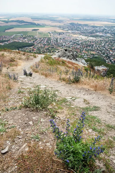 Pradera de montaña, la ciudad y los campos — Foto de Stock