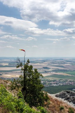 Ağaç üzerinde renkli rüzgar gülü