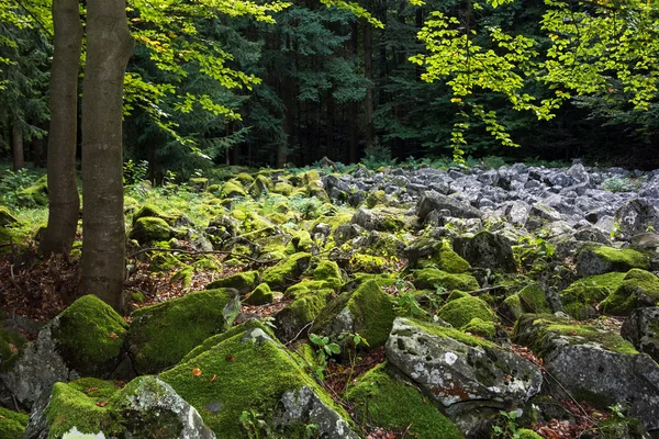 Andesite stone sea in Slovak republic Royalty Free Stock Images