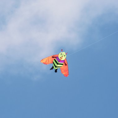 Uçurtma uçan - arı