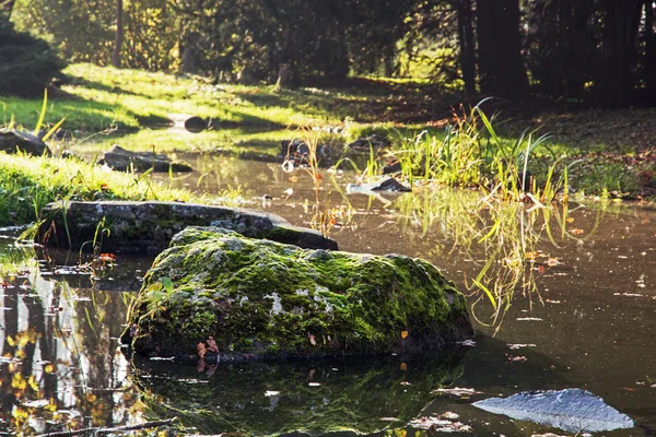 Pietre ricoperte di muschio in un torrente — Foto Stock