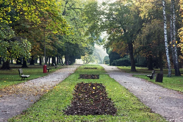 Tree alley and footpath with benches in the autumn park — Stock Photo, Image