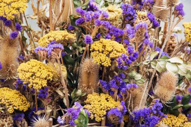 Güzel dekoratif Kuru çiçekler