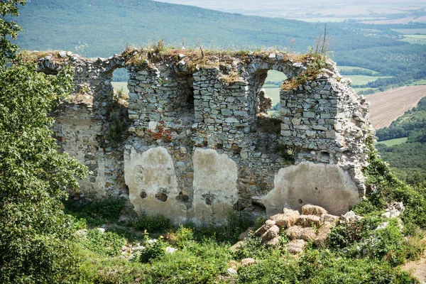 Руины замка Спортивные залы летом — стоковое фото