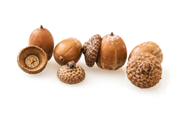 Acorns op een witte achtergrond — Stockfoto