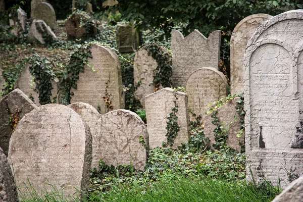 Jewish cemetery in Prague — Stock Photo, Image