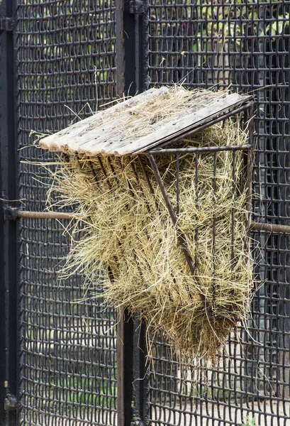 Alimentador de heno — Foto de Stock