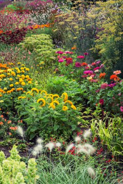 Yaz çayır çiçek tam