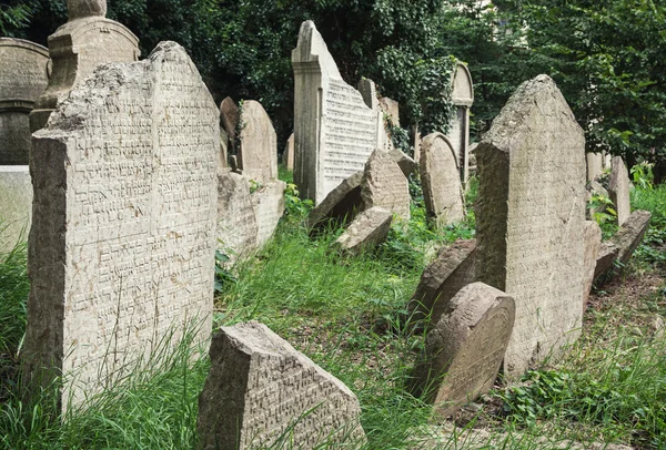 Židovský hřbitov v městě Praha — Stock fotografie