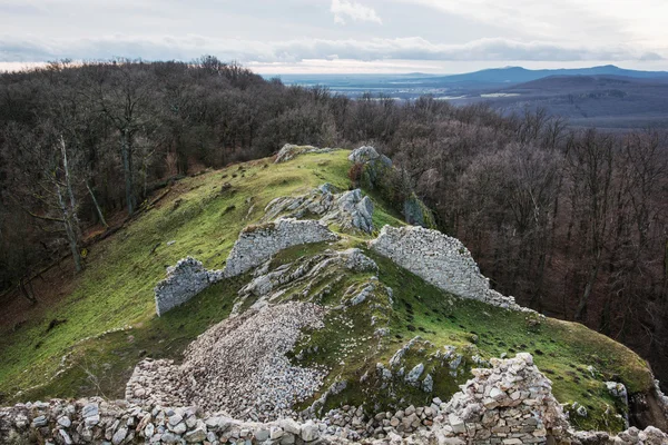 Ruins of the castle Hrusov in deciduous forest and surrounding c — Stock Photo, Image