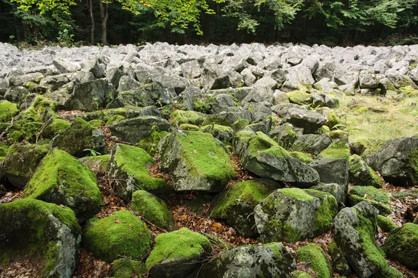安山岩石海の大きな石 — ストック写真