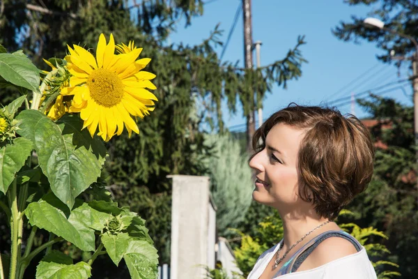 Giovane bruna caucasica e grande girasole con la coccinella — Foto Stock