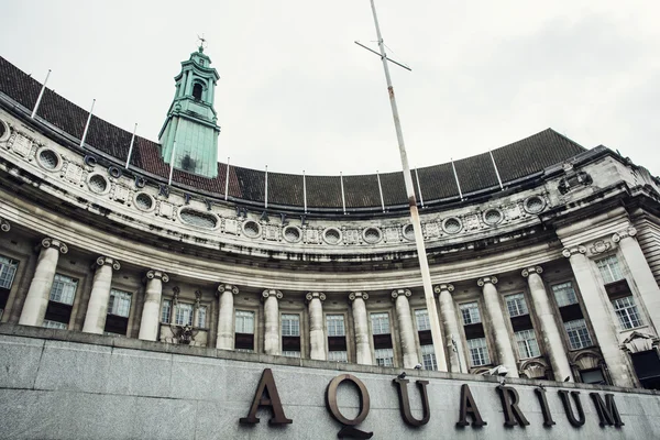 London-Aquarium — Stockfoto