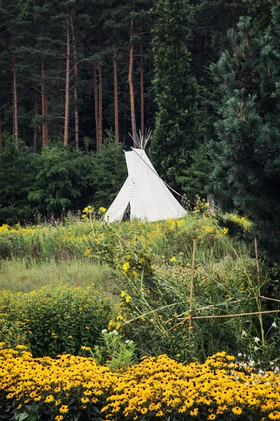 Tipi lub wigwam — Zdjęcie stockowe