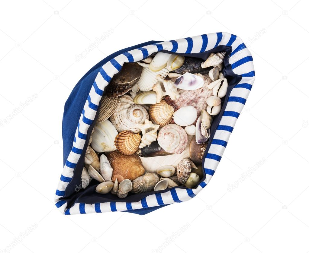 Sea shells in blue and white sailor bag