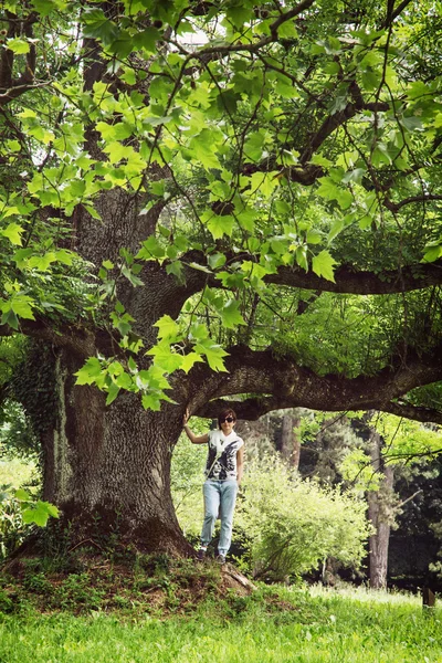 Mujer joven bajo el enorme árbol de arce — Foto de Stock