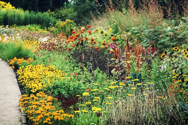 Jardín de verano lleno de flores — Foto de Stock