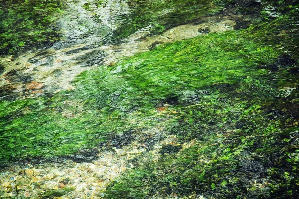 Klares Wasser fließt in den Bach — Stockfoto