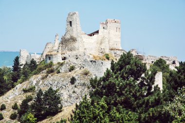Cachtice castle, Slovakia clipart