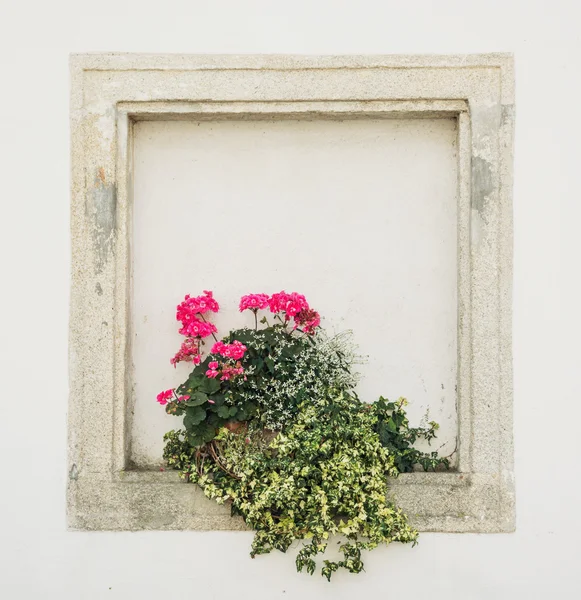 Stones walled window with potted flowers — Stock Photo, Image