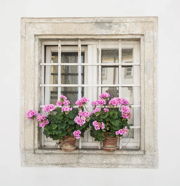 Square window with potted flowers — Zdjęcie stockowe