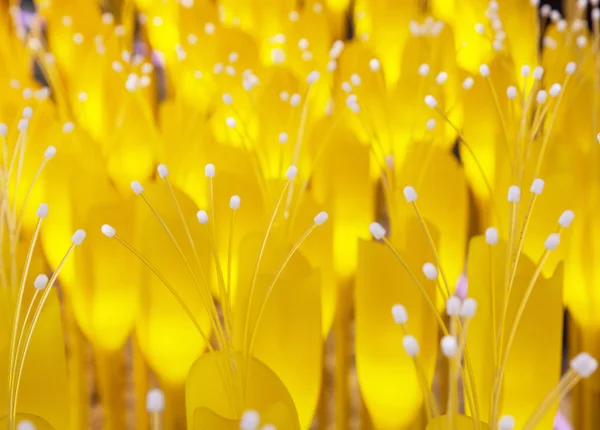 Iluminação decoração amarela na forma de orelha — Fotografia de Stock