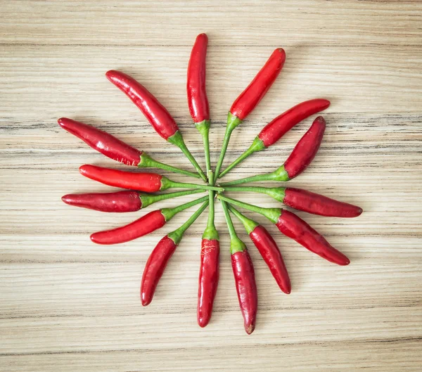 Chilies in the circle shape — Stock Photo, Image