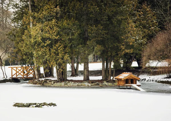 水鳥の冬の雪の降る公園で入れ子のボックス — ストック写真