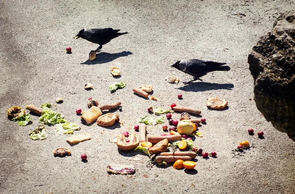 Pájaros comiendo la verdura en el suelo —  Fotos de Stock