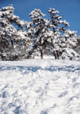 Karlı dağlar, kış sahne, mevsimsel doğal yeri