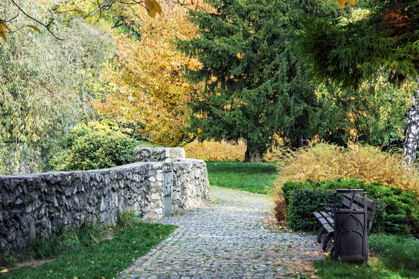 Sidewalk in the park and colorful trees in autumn — Stock Photo, Image