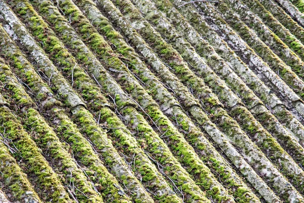 Vecchio tetto piastrellato ricoperto di muschio — Foto Stock