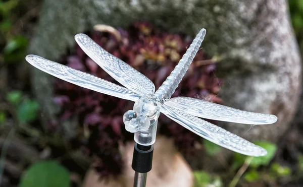 Decorative dragonfly in the garden — Stock Photo, Image