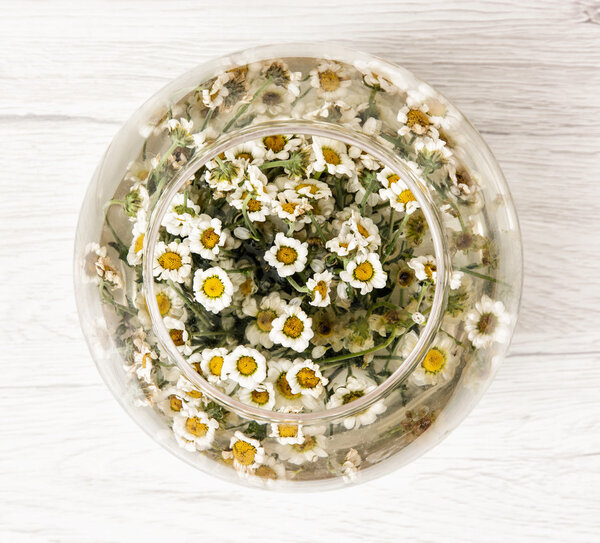 Arangement with daisy flowers in the glass bowl with water