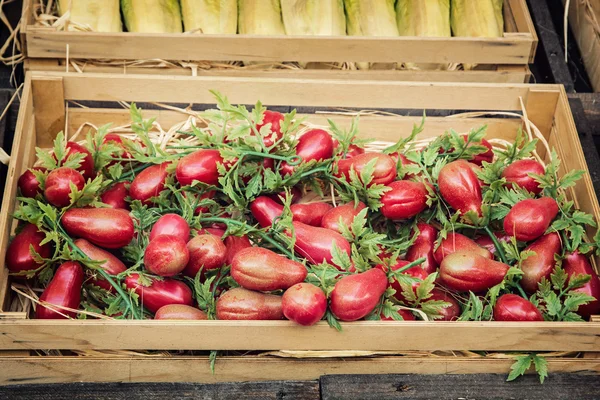 Pomodoro rosso nella scatola di legno — Foto Stock