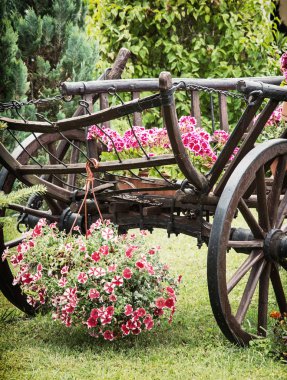 Yaz çiçek, ayrıntı sahne ile ahşap sepeti