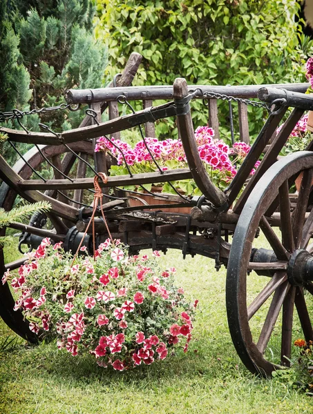 Carrinho de madeira com flores de verão, cena de detalhe — Fotografia de Stock