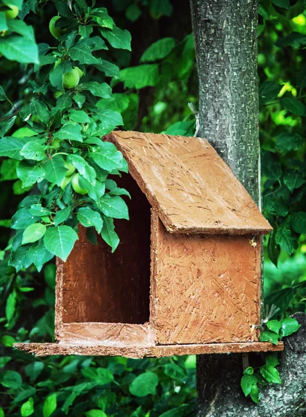 Casa de pájaros de madera colgada en el árbol — Foto de Stock