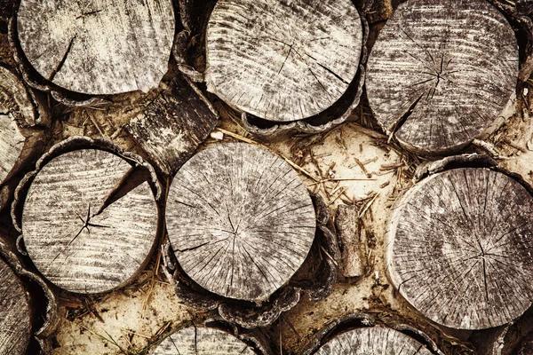 Fond de rondins en bois — Photo