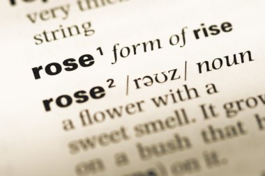 Eski İngilizce sözlük sayfası kelime rose ile yakın çekim