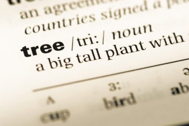 Eski İngilizce sözlük sayfası word ağaç ile yakın çekim